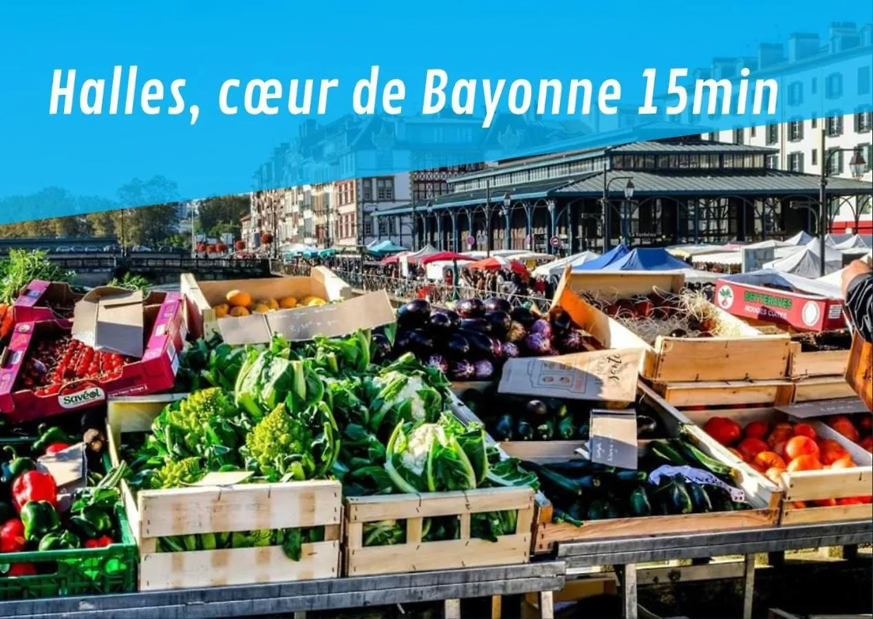 Le Cerisier Bayonnais Appartement Bayonne Frankrijk